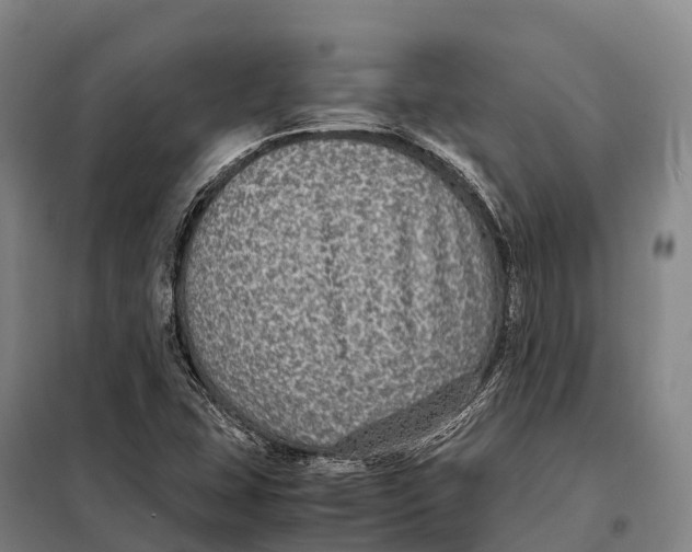 X0000098021407200804251127