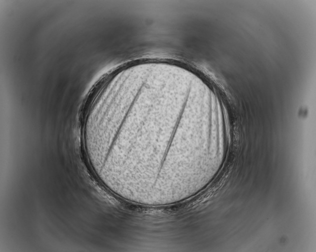 X0000098021408200804251127