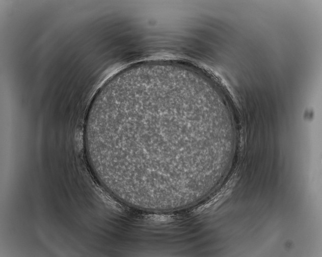 X0000098021409200804251127