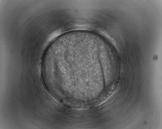 X0000098021411200804251127