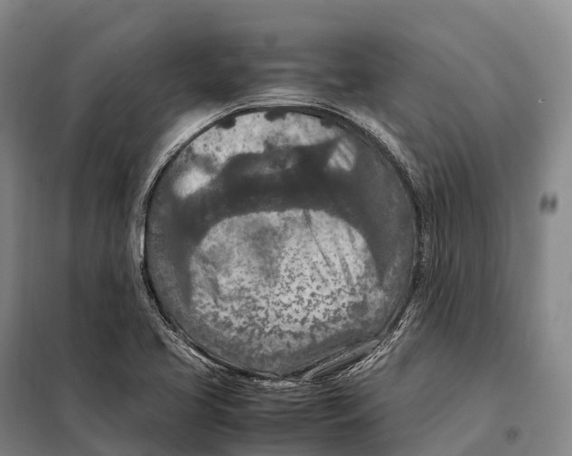 X0000098021413200804251127