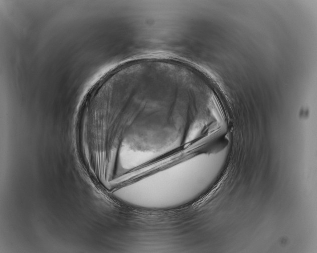 X0000098021414200804251127