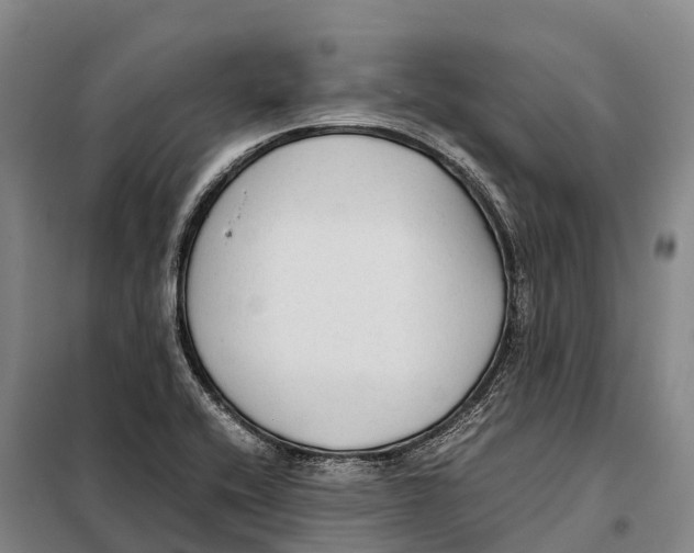 X0000098021416200804251127