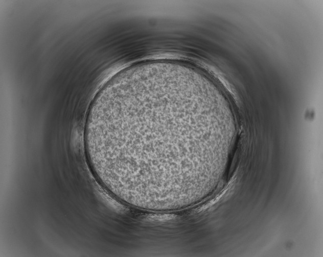X0000098021417200804251127