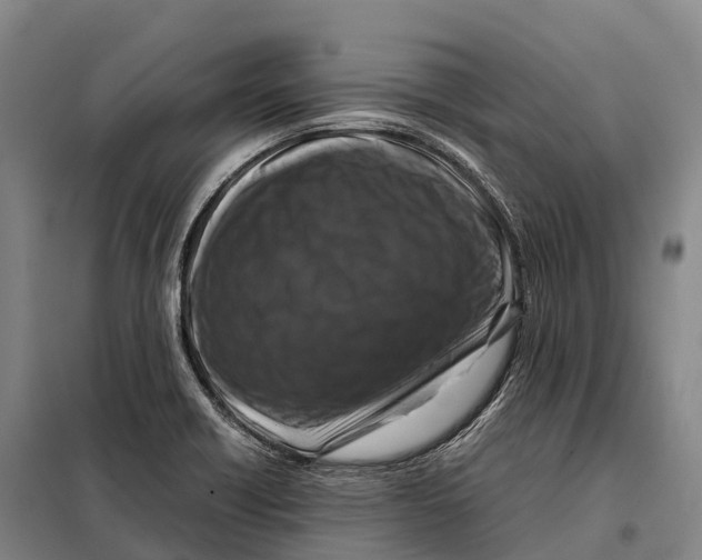 X0000098021418200804251127