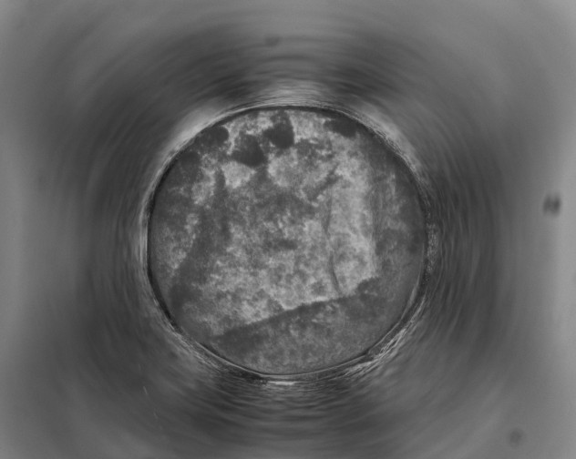 X0000098021419200804251127