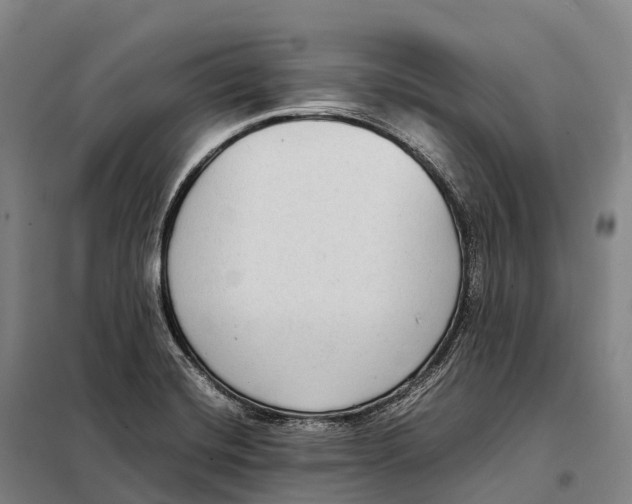X0000098021420200804251127