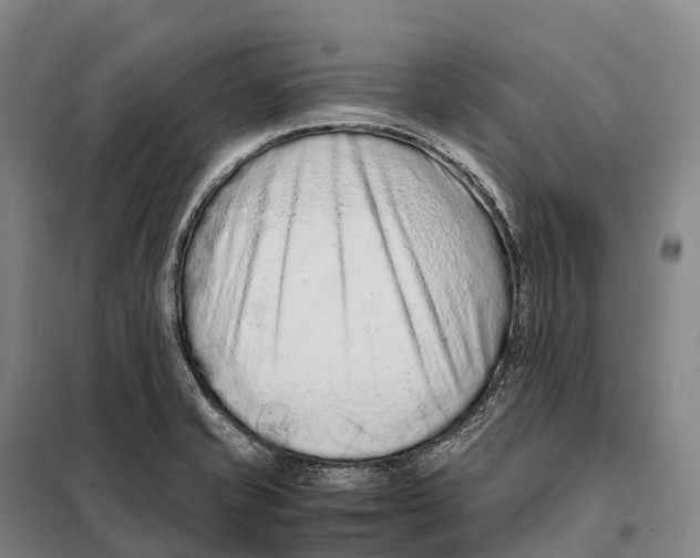 X0000098021421200804251127