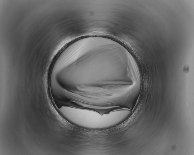 X0000098021422200804251127