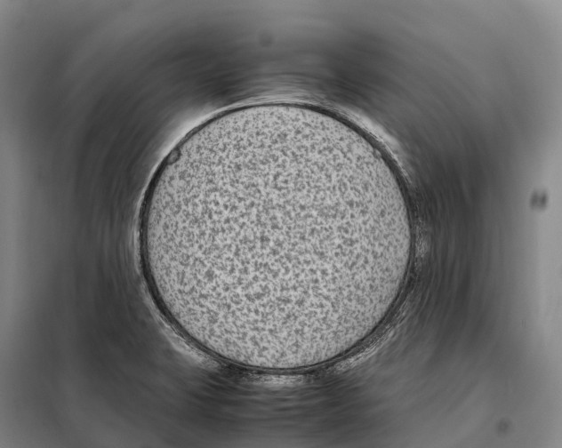 X0000098021423200804251127