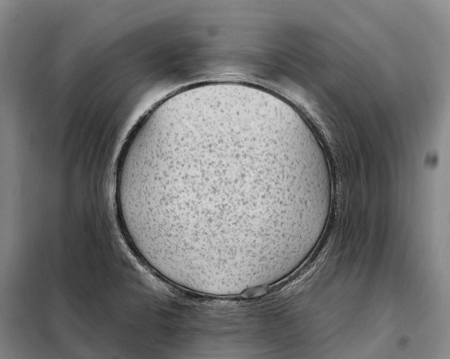 X0000098021424200804251127