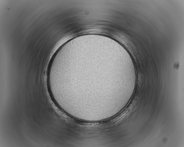 X0000098021426200804251127