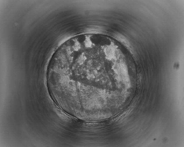 X0000098021427200804251127