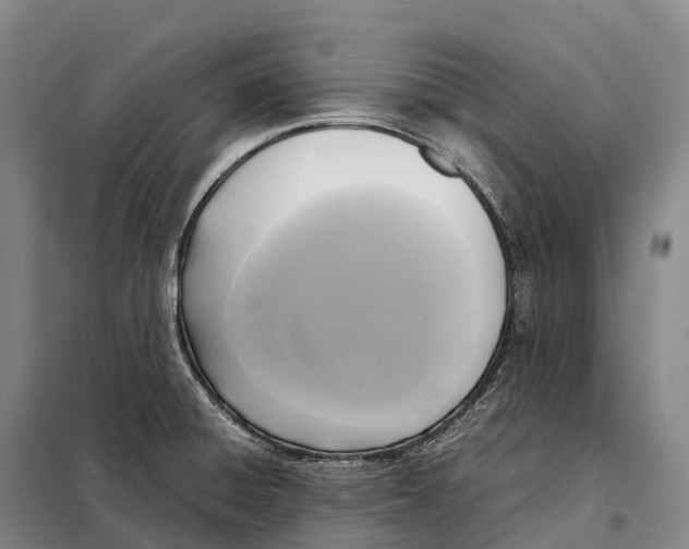X0000098021428200804251127