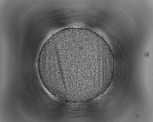 X0000098021429200804251127