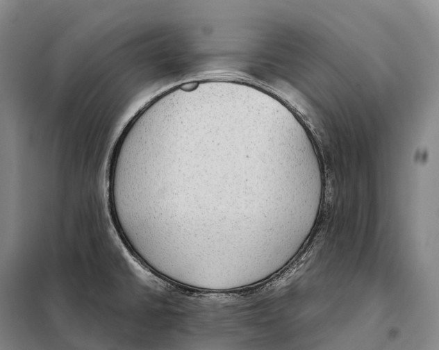 X0000098021430200804251127