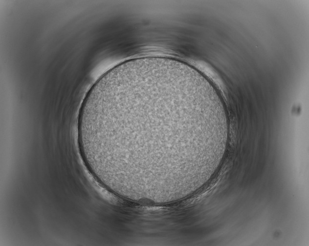 X0000098021431200804251127