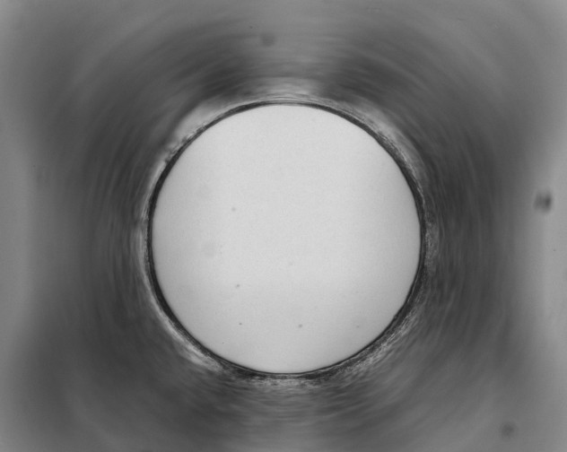 X0000098021432200804251127