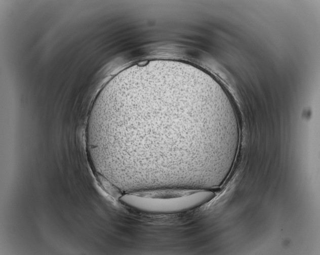 X0000098021433200804251127