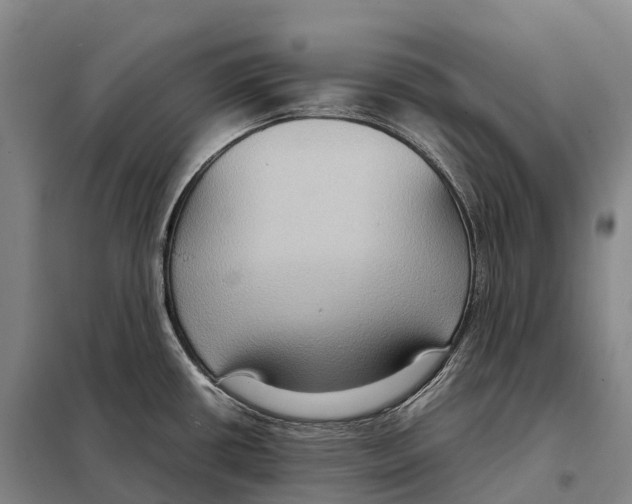 X0000098021434200804251127