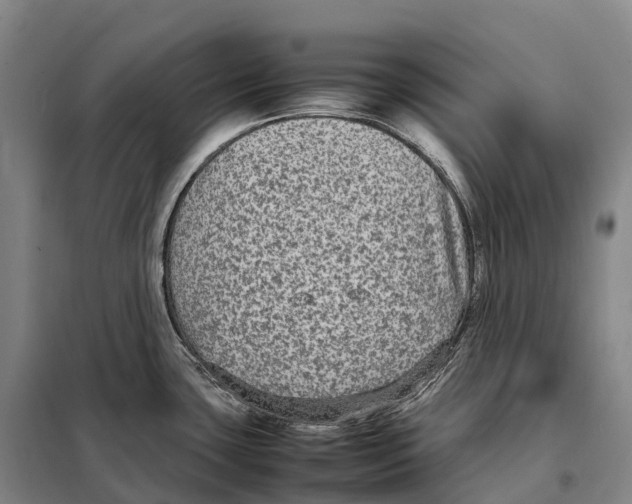X0000098021435200804251127