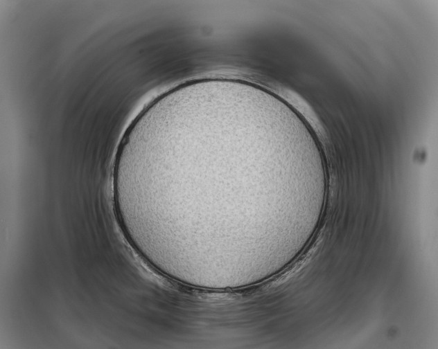 X0000098021436200804251127