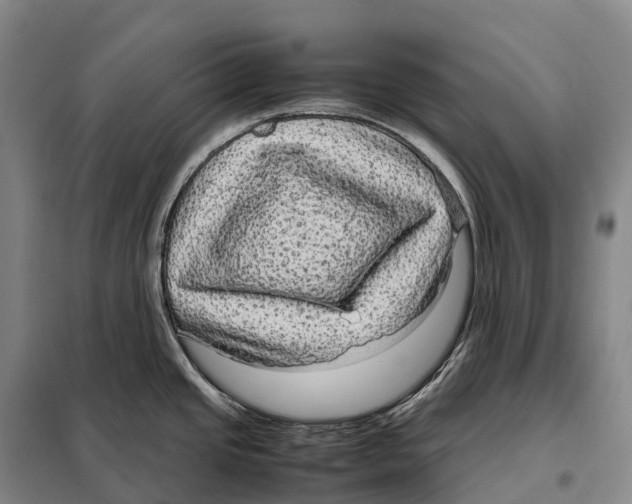 X0000098021437200804251127