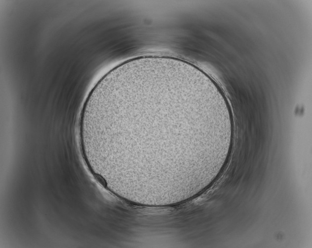 X0000098021440200804251127