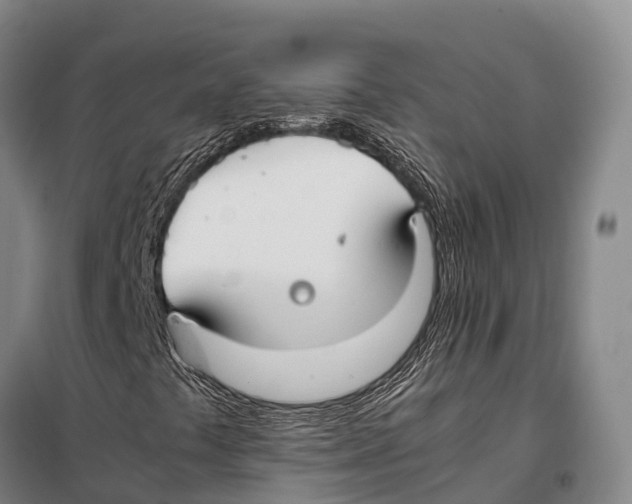 X0000098021441200804251126