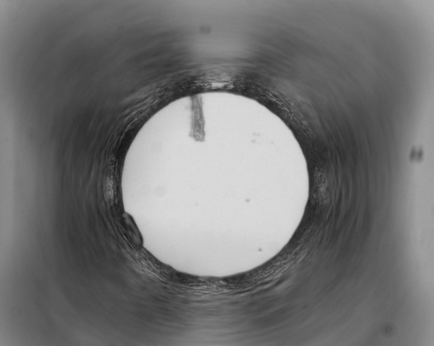 X0000098021442200804251126