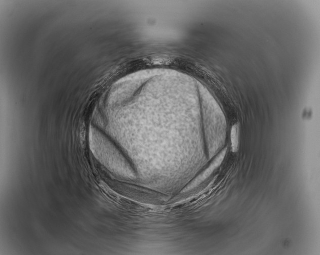 X0000098021443200804251126