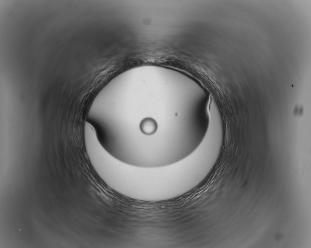 X0000098021444200804251126