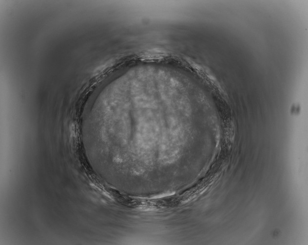 X0000098021445200804251126