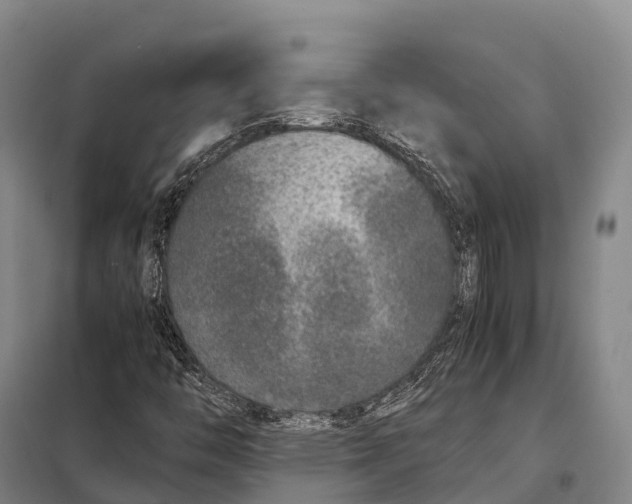 X0000098021446200804251126