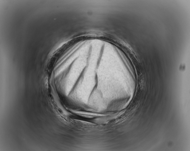 X0000098021448200804251126