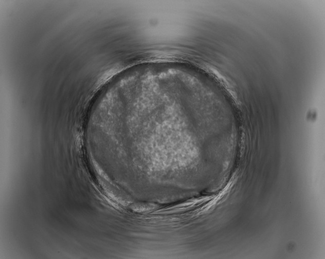 X0000098021449200804251126