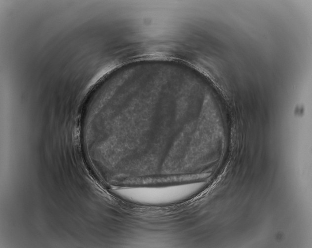 X0000098021450200804251126