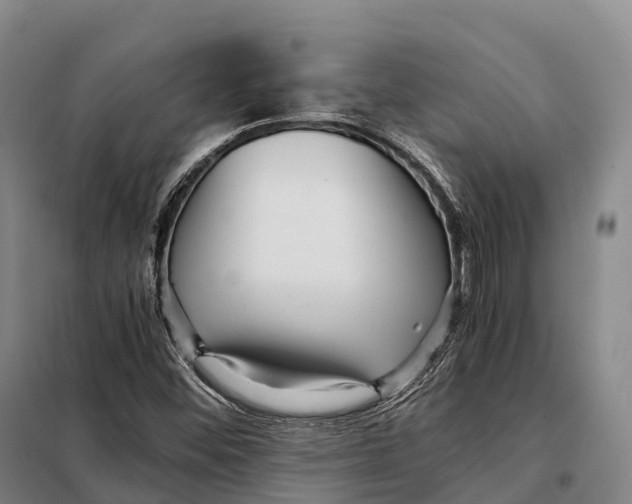 X0000098021452200804251126