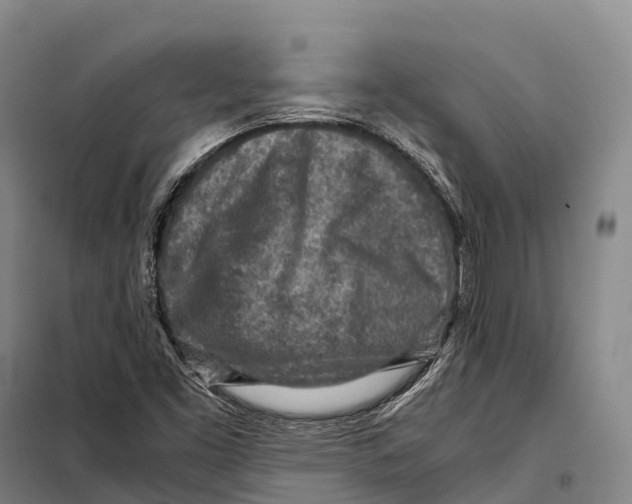X0000098021453200804251126