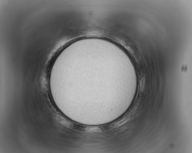 X0000098021454200804251126