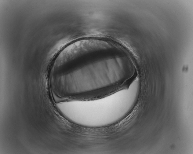 X0000098021455200804251126
