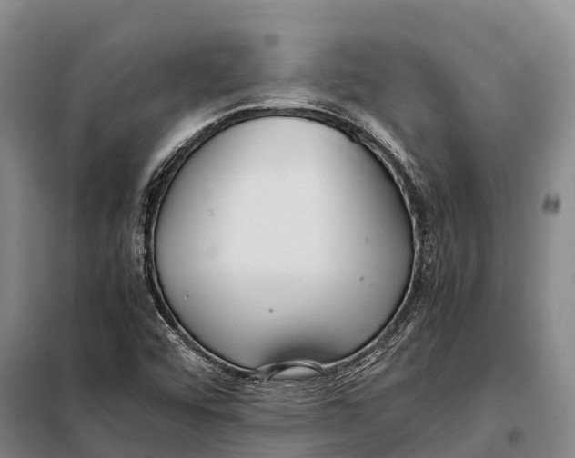 X0000098021456200804251126
