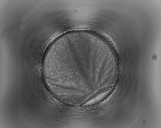 X0000098021457200804251126