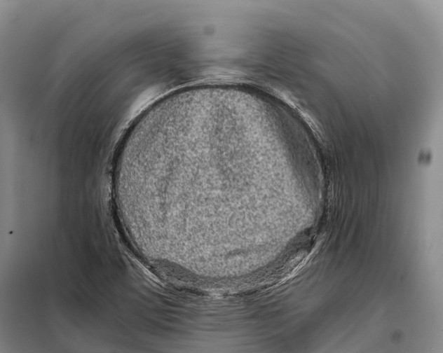 X0000098021459200804251126