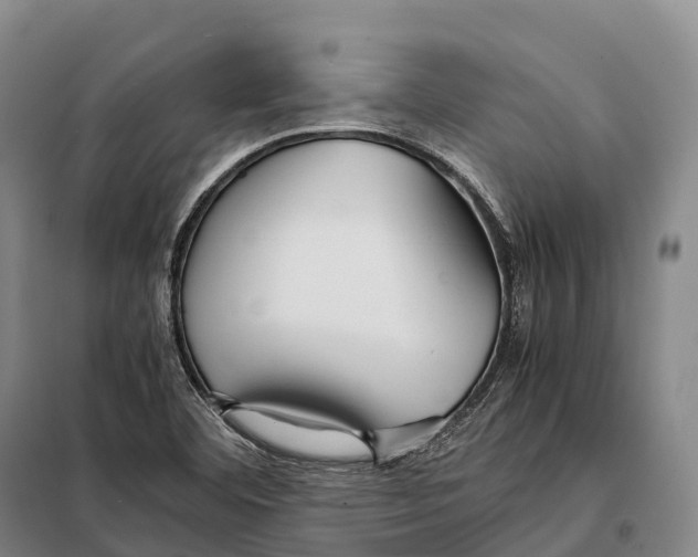 X0000098021460200804251126