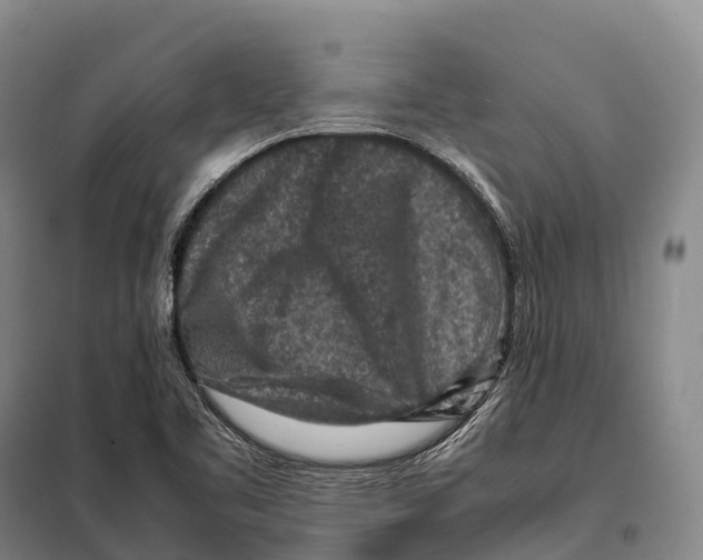 X0000098021461200804251126