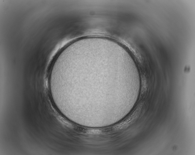 X0000098021462200804251126