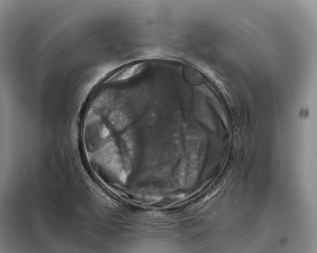 X0000098021463200804251126