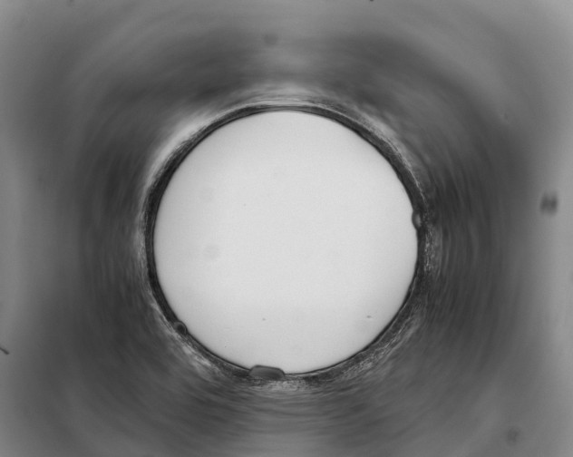 X0000098021464200804251126