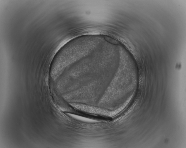 X0000098021465200804251126
